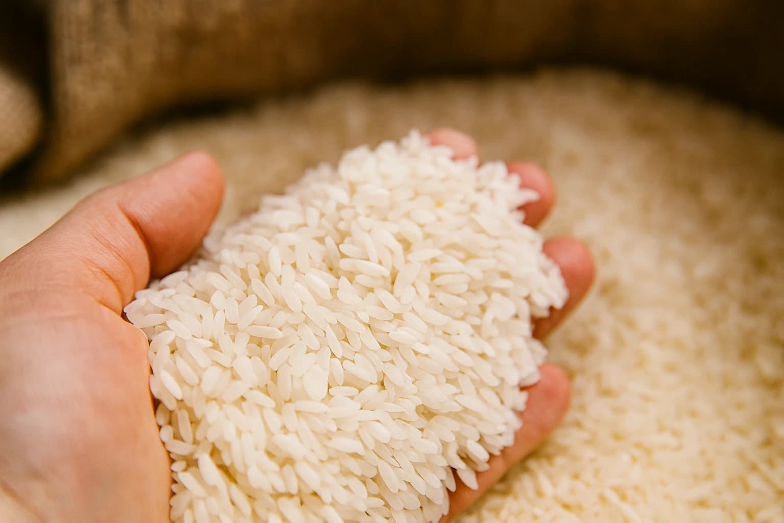 gluten in rice explained