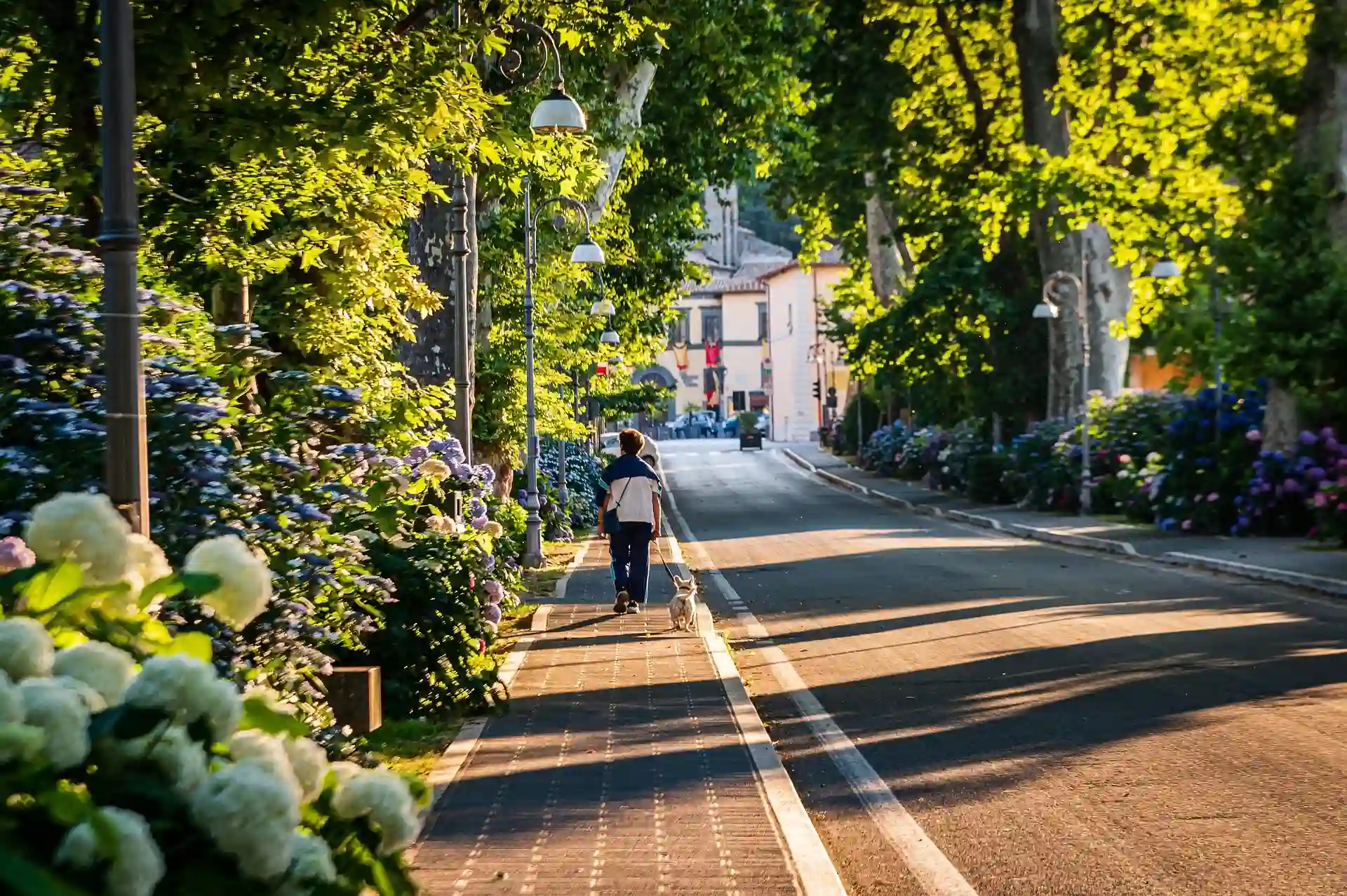 Walking for Emotional Clarity